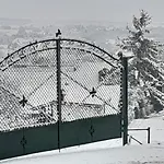 Vagabund Vendeghaz